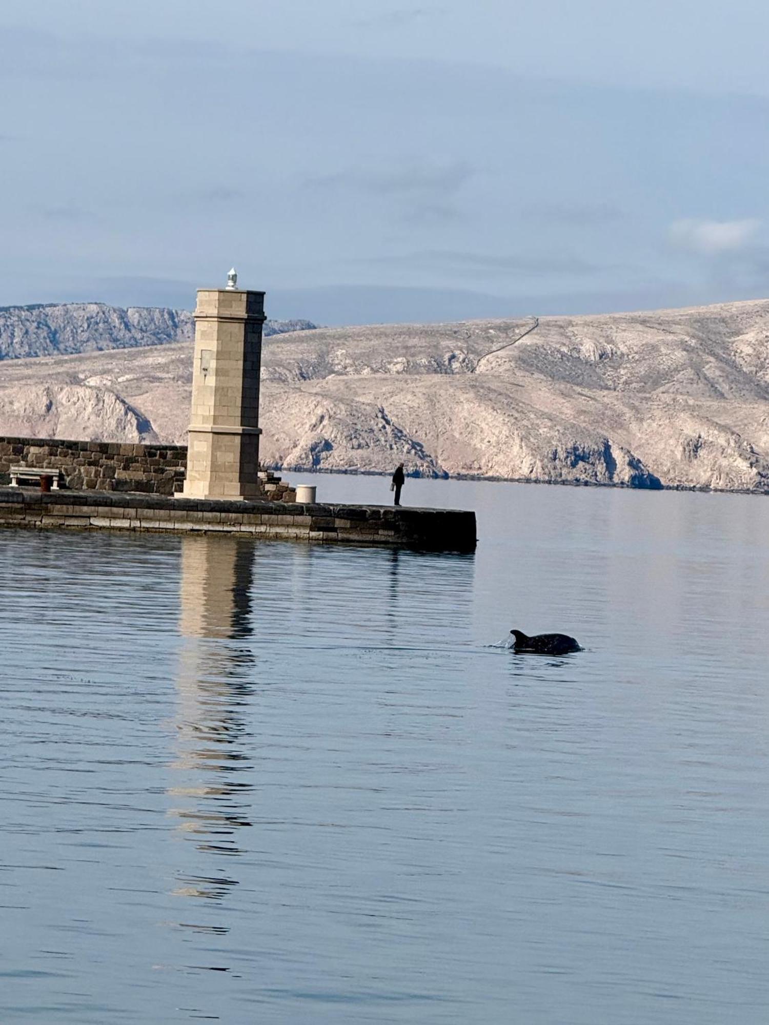 Carpe Diem Apartment Senj  Exteriér fotografie